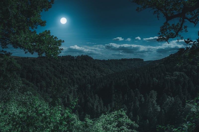 Midnight Cove